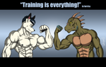 "Power of Training"