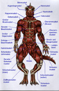 Echsenwesen - Mann (Muskeln)